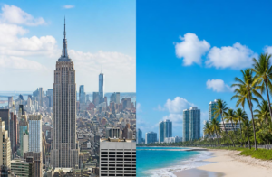 New York and Florida licensed LLC attorney